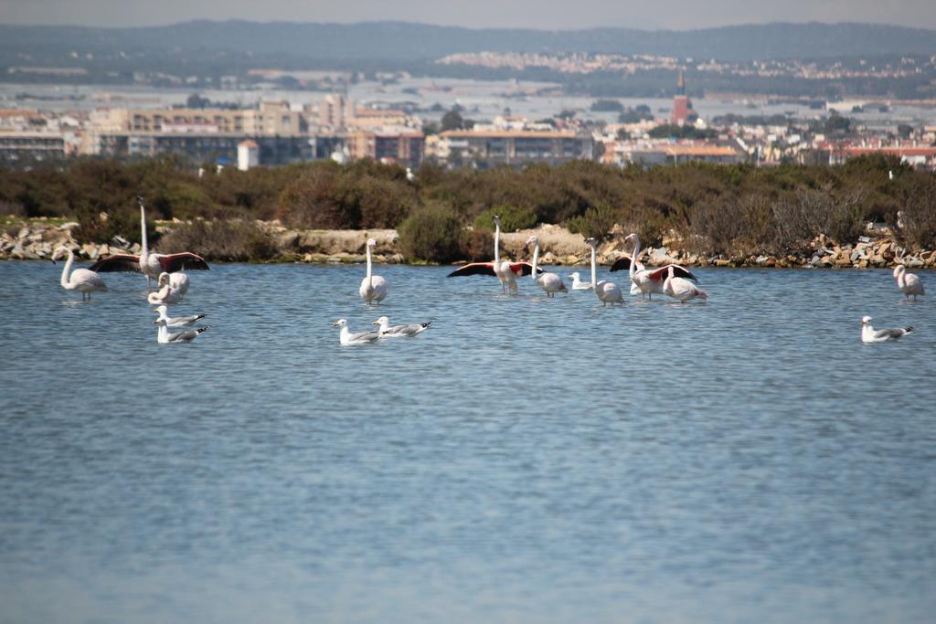 Hotel El Marino Santiago De La Ribera Zewnętrze zdjęcie